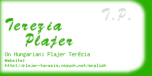 terezia plajer business card